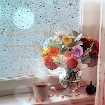 Cover Image of Baixar Rainy Warm Afternoon-Wallpaper  APK