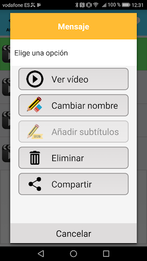 Vídeo curriculum Plena Inclusi Screen 2