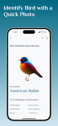 Identify Birds,Bird Identifier Screen 3