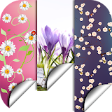 Spring Flowers Backgrounds HD icon