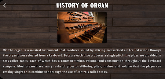Organ Instrument
