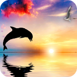 Cover Image of Unduh Dolphin Wallpaper 4K Latest 1.08 APK