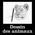 Cover Image of Unduh Dessin des animaux facilement  APK