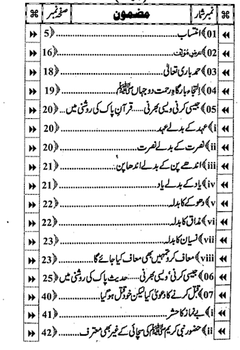 Dawat e Islami Books Screen 2