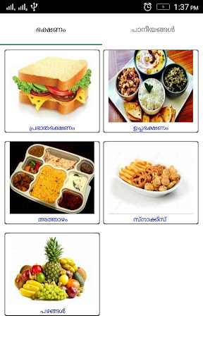 Android application Iconic Communicator Malayalam screenshort