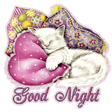 Good Night SMS Messages Msgs icon