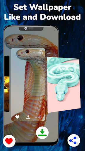 Snake Wallpapers HD Screen 3