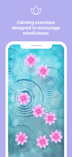 Bloom : Better You