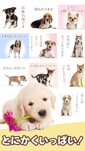 犬スタンプ screenshot