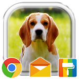 Beagle Puppy Adorable Theme icon