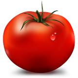 Tomato timer icon