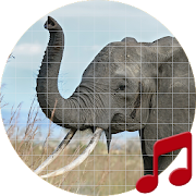 Elephant sounds ~ Sboard.pro