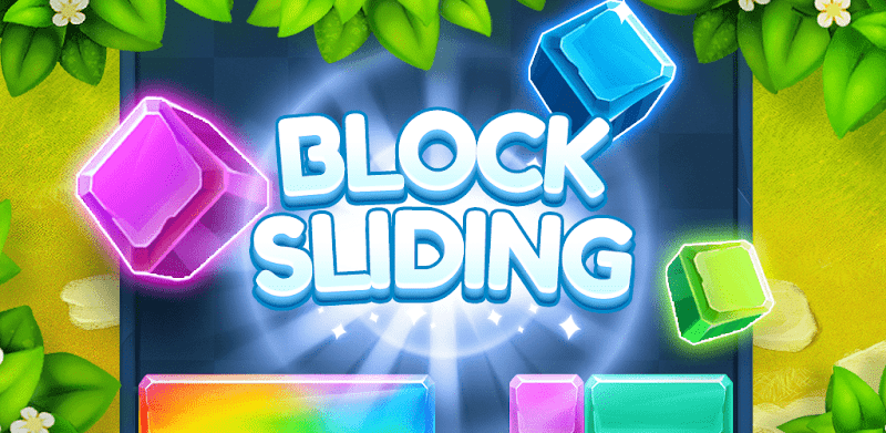 Block Puzzle Sliding