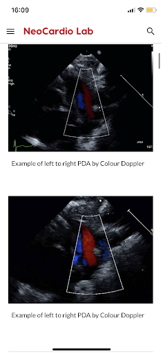 NeoCardioLab Screen 3