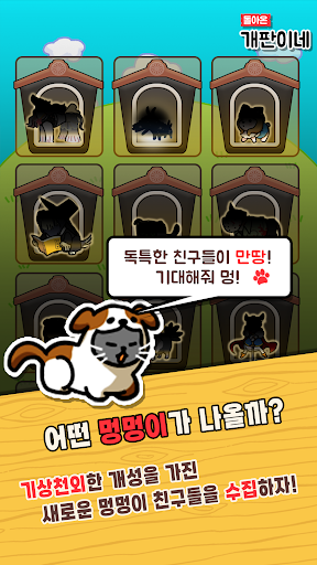 돌아온 개판이네