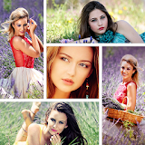 The Photo Collage icon