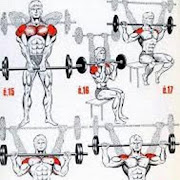 All Shoulder Exercises  Icon