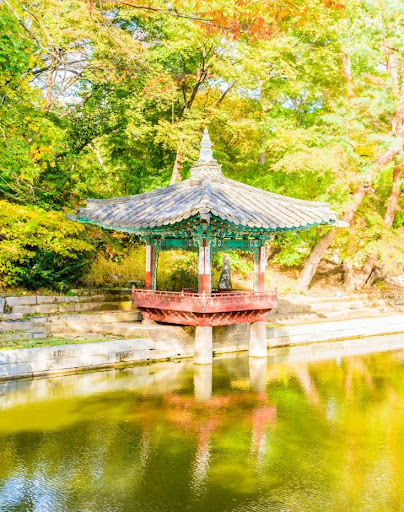 Autumn Garden Wallpaper