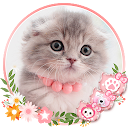 ????Süße Kitty Cat Launcher-Motiv und Live-????Süße Kitty Cat Launcher-Motiv und Live-Wallpaper 