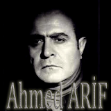 Ahmed Arif icon