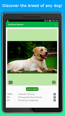 DoggyApp - Identify Dog Breedsのおすすめ画像5
