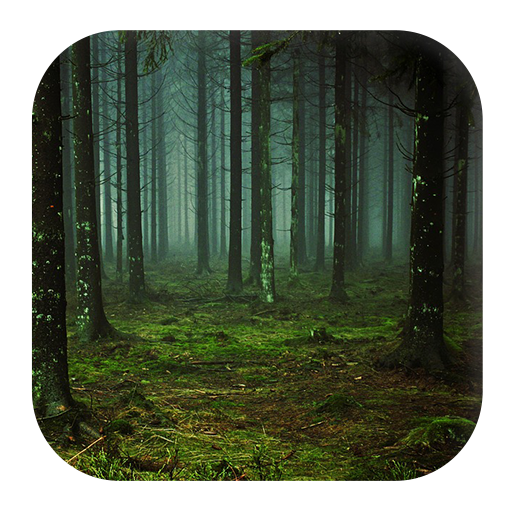 Forest Sounds logo