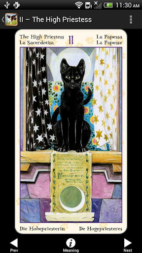 Screenshot of Tarot of Pagan Cats