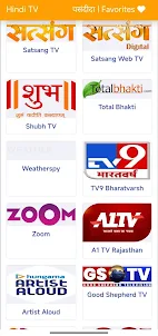 Hindi TV