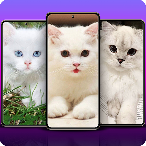 Cute Cat Wallpaper logo
