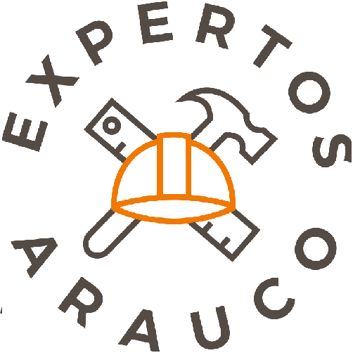 Expertos Arauco Download on Windows