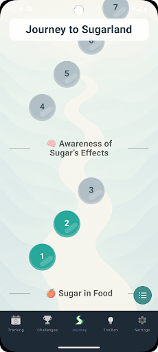 No Sugar Challenge screenshot 7