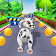 Dog Run: Pet Surfer Rush Game icon