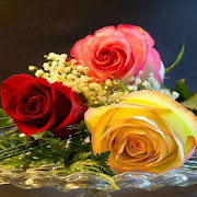Beautiful Flowers Roses Gif