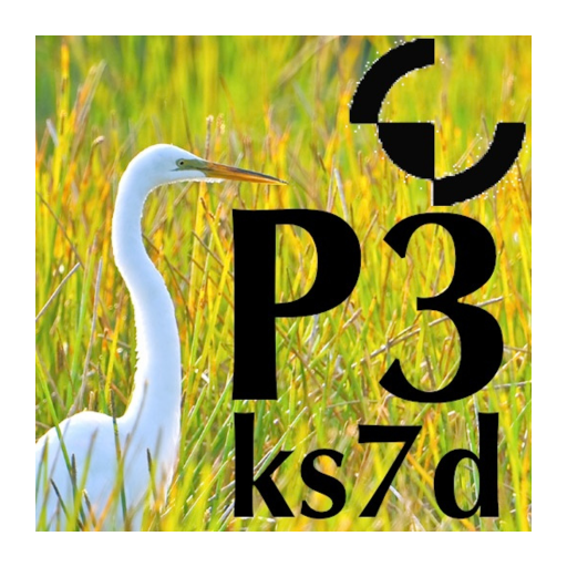 P3 Micro Manual logo