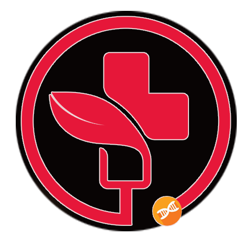 Health First Aid logo