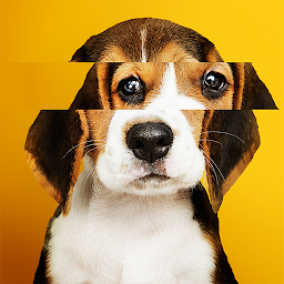 Stripes: Jigsaw Puzzles Mod Apk