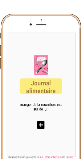 Aperçu de l'application