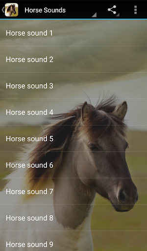 Horse Sounds Screen 2