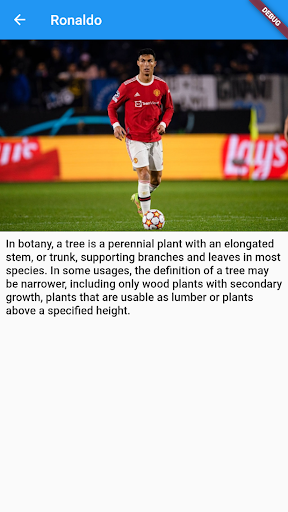 International player Screen 3