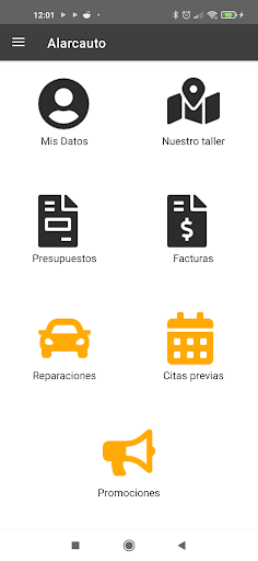 Alarcauto Screen 2