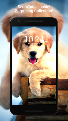 Download ? Puppy Dog Wallpaper HD ? Free for Android - ? Puppy Dog  Wallpaper HD ? APK Download 