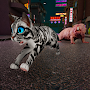 Wander Cat Simulator Games