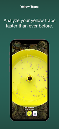 MagicScout Screen 3