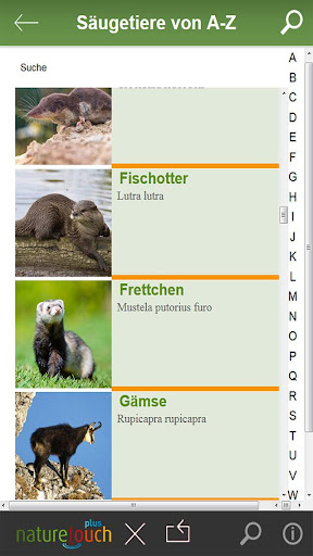Igel Hase Fuchs bestimmen