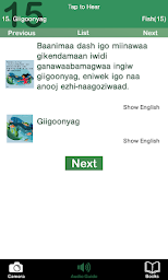 Ojibwe Media Player