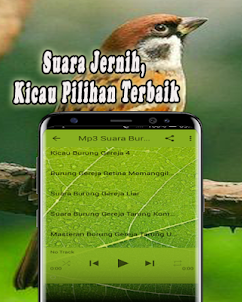 Suara Burung Gereja MP3