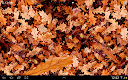 screenshot of Autumn leaves 3D LWP