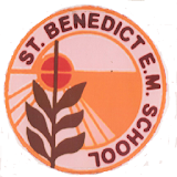 St Benedict English Medium School icon