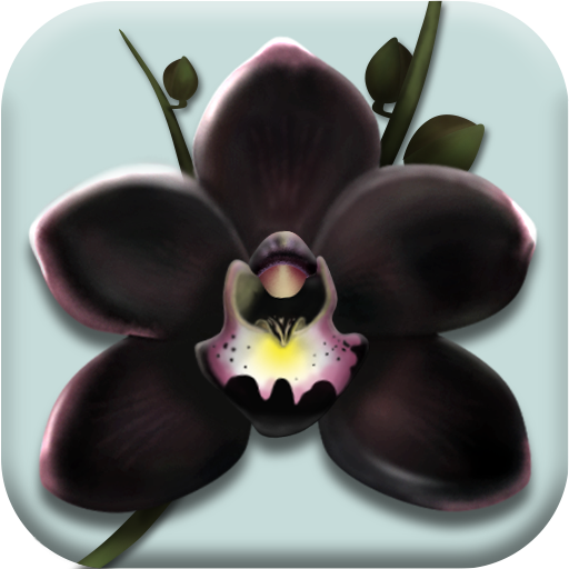 The Black Orchid - Orchids Nursery Idle Game