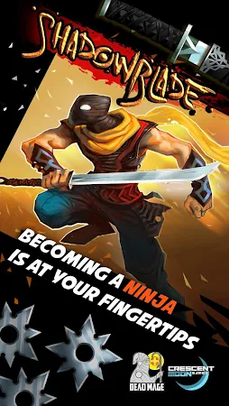 Game screenshot Shadow Blade mod apk